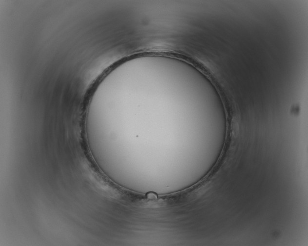 X0000110701410200906261357