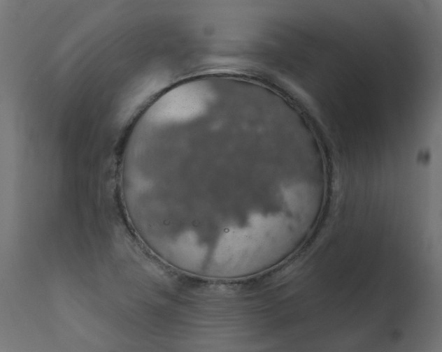 X0000110701411200906261357
