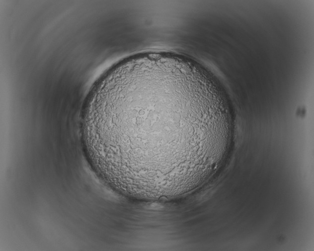 X0000110701412200906261357
