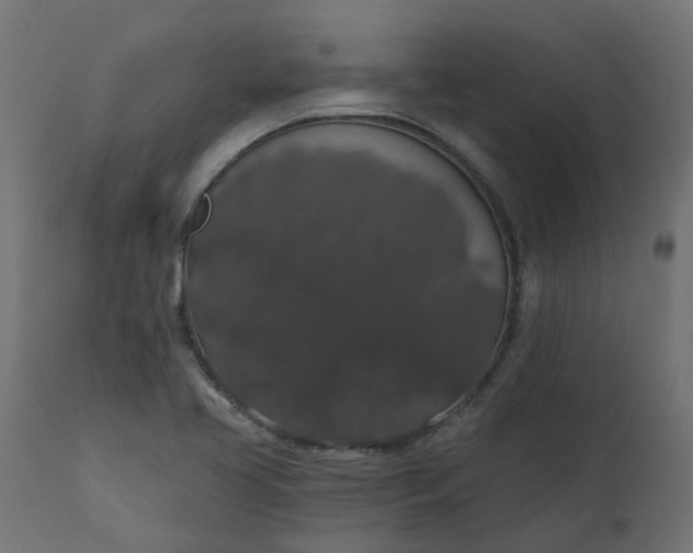 X0000110701413200906261357