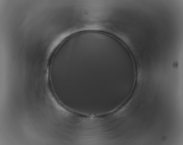 X0000110701414200906261357