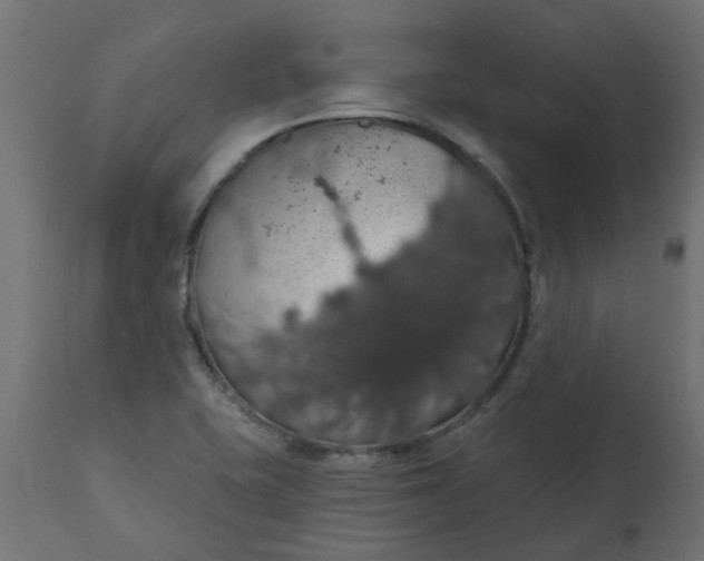 X0000110701415200906261357