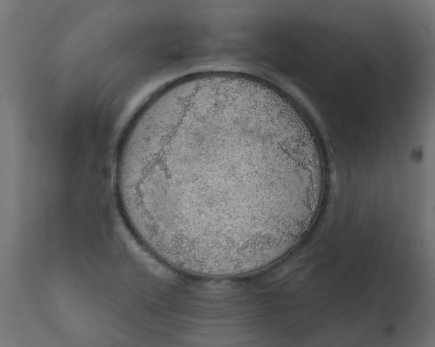 X0000110701416200906261357