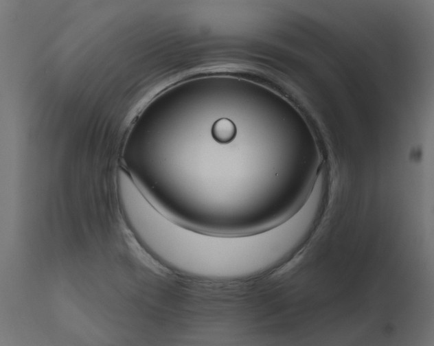 X0000110701417200906261357