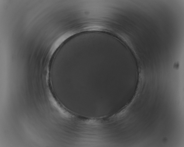 X0000110701418200906261357