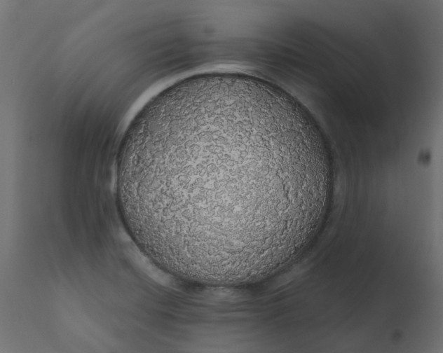 X0000110701420200906261357