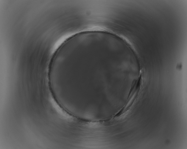 X0000110701422200906261357