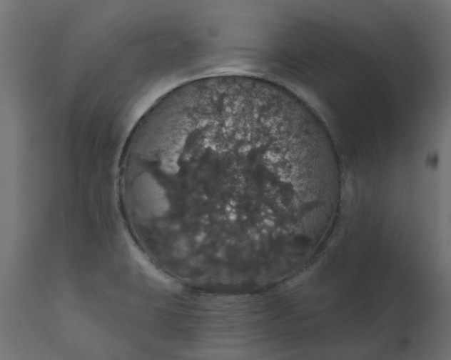 X0000110701423200906261357