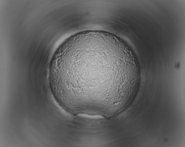 X0000110701424200906261357