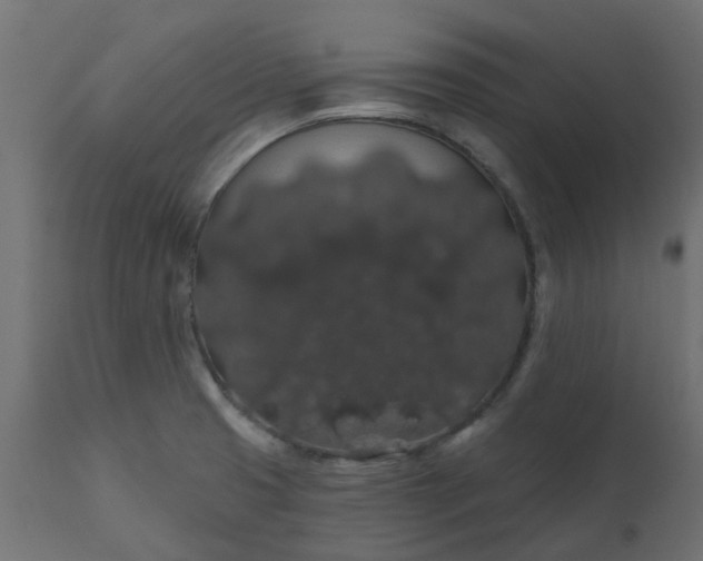 X0000110701425200906261357