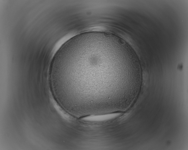 X0000110701426200906261357