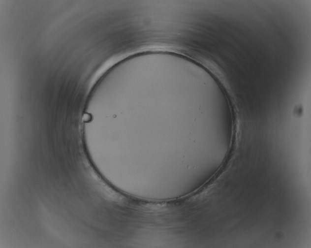 X0000110701428200906261357