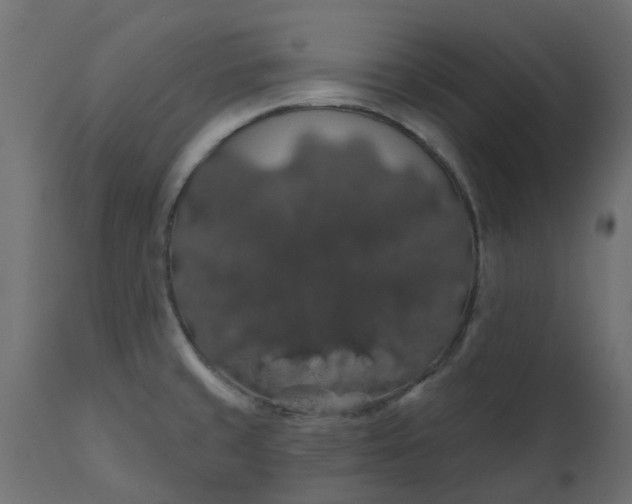 X0000110701429200906261357