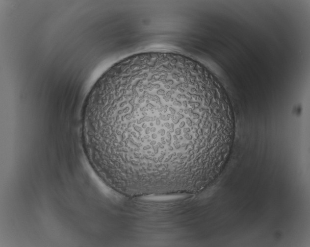 X0000110701430200906261357