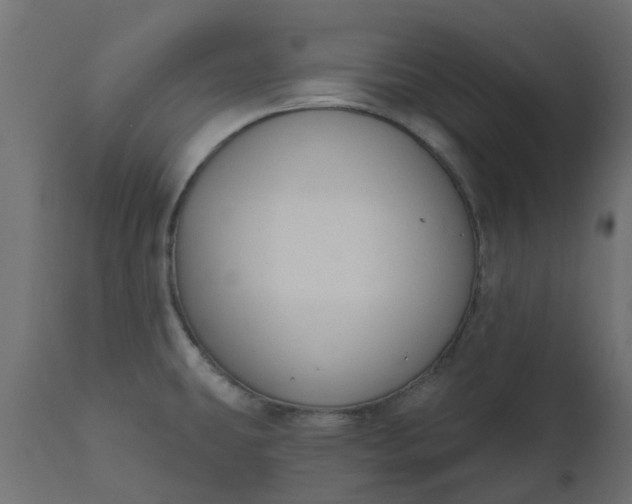 X0000110701431200906261357