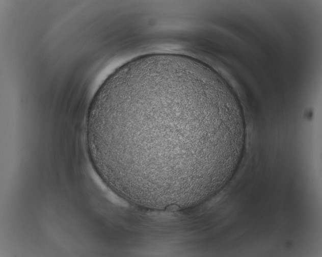 X0000110701432200906261357