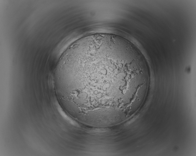 X0000110701433200906261357