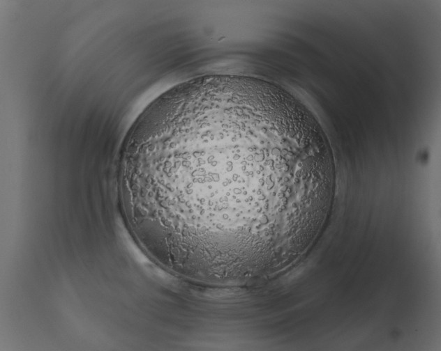 X0000110701434200906261357