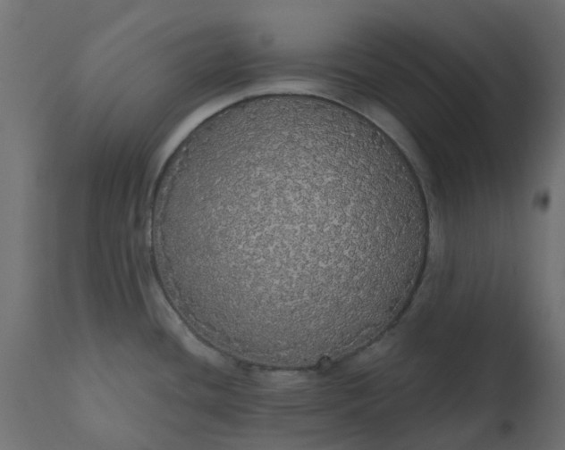 X0000110701436200906261357