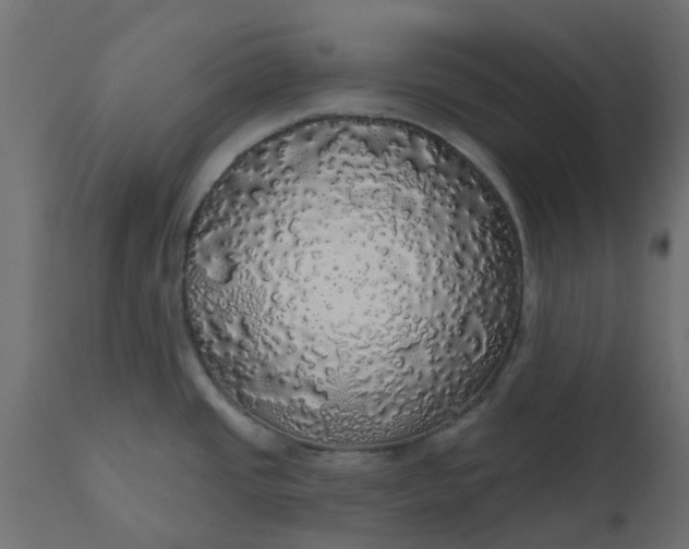 X0000110701437200906261357