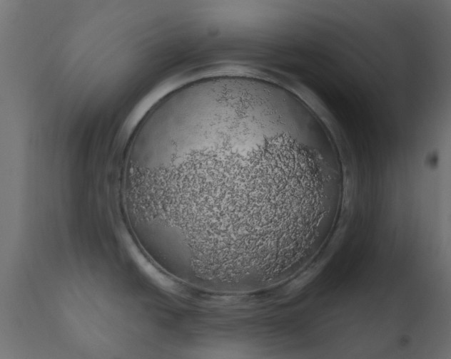 X0000110701438200906261357