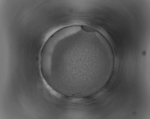 X0000110701439200906261357
