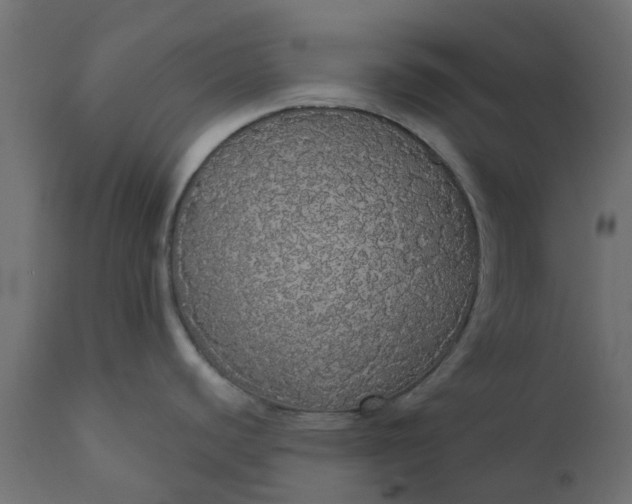 X0000110701440200906261357