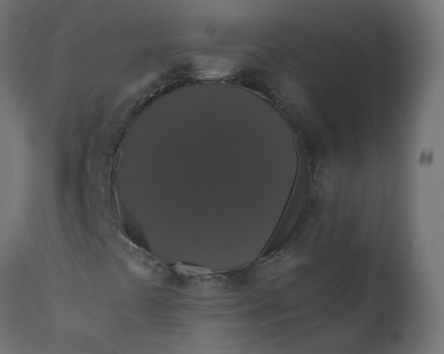 X0000110701441200906261356