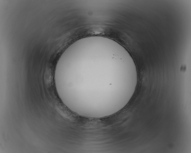 X0000110701442200906261356