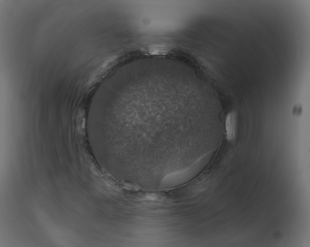 X0000110701443200906261356