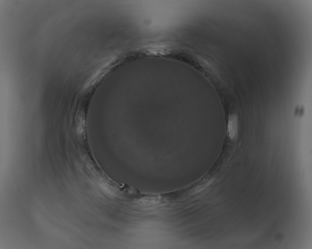 X0000110701444200906261356