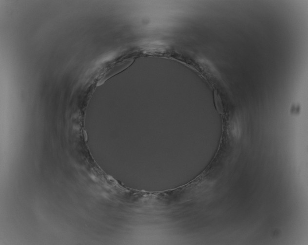 X0000110701445200906261356
