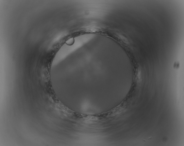 X0000110701446200906261356