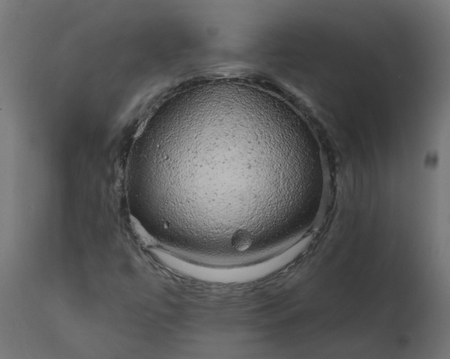 X0000110701447200906261356