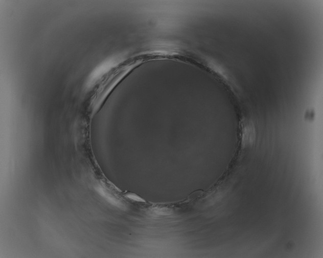 X0000110701448200906261356