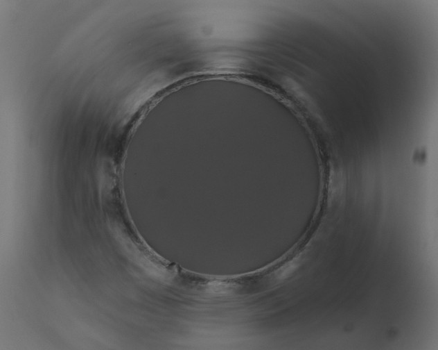 X0000110701449200906261356