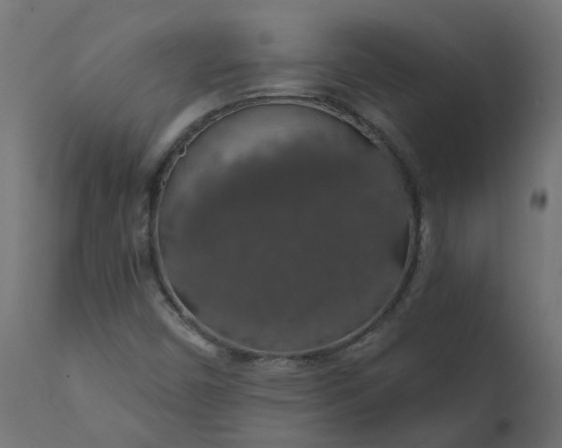 X0000110701450200906261356