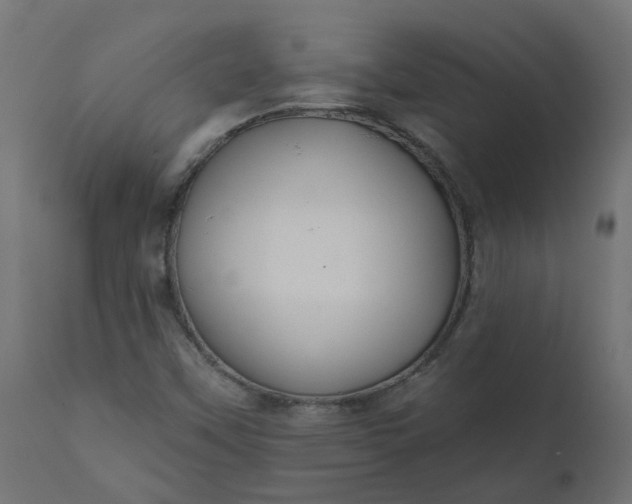 X0000110701451200906261356
