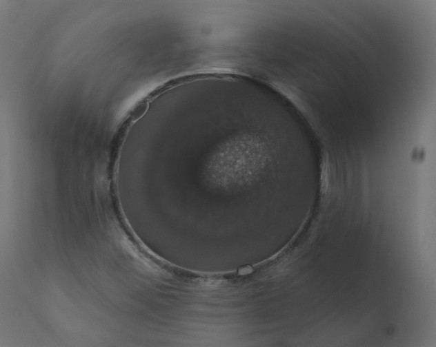 X0000110701452200906261356