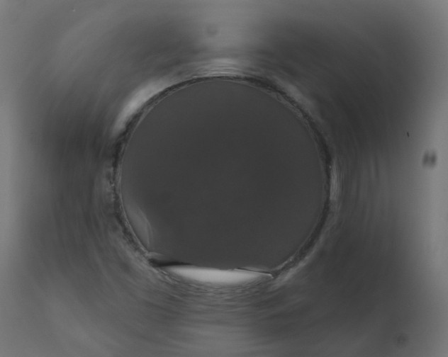 X0000110701453200906261356