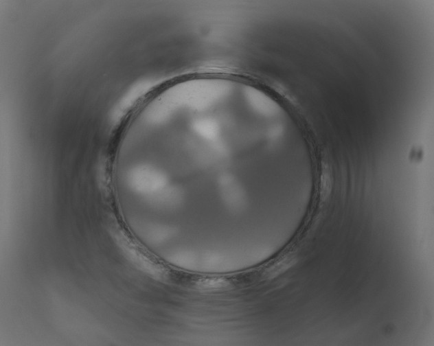 X0000110701454200906261356