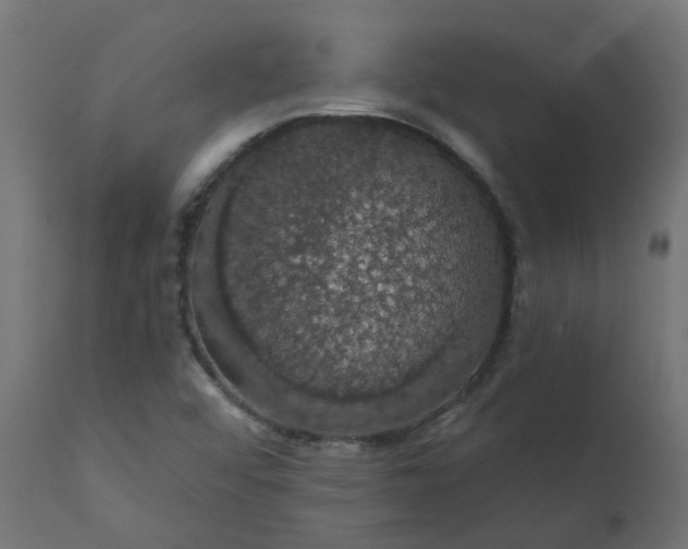 X0000110701456200906261356