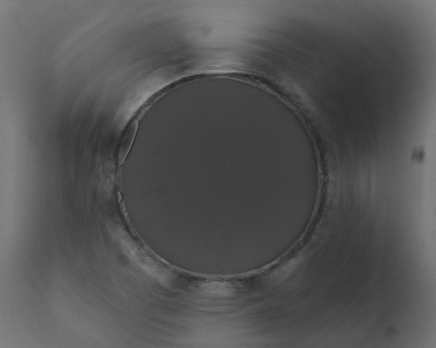X0000110701457200906261356