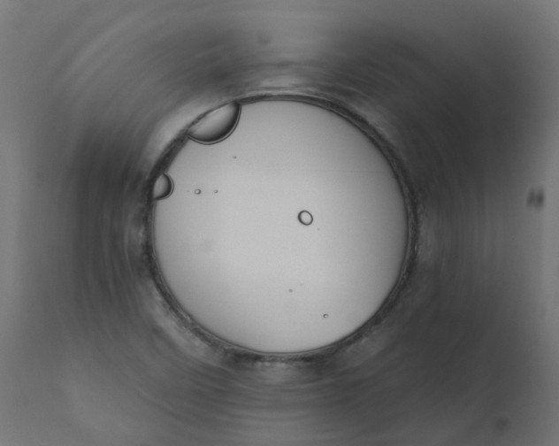 X0000110701458200906261356