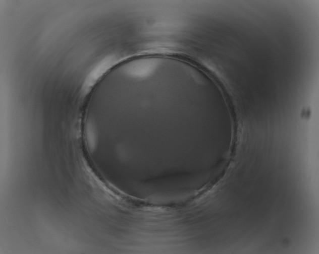 X0000110701459200906261356