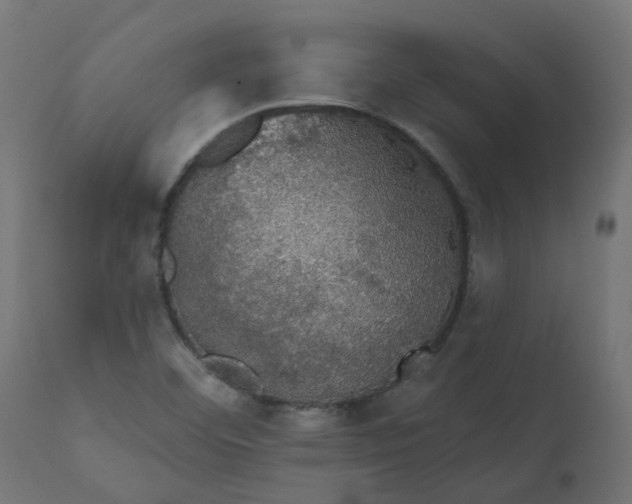 X0000110701460200906261356