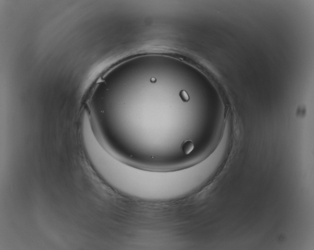 X0000110701461200906261356