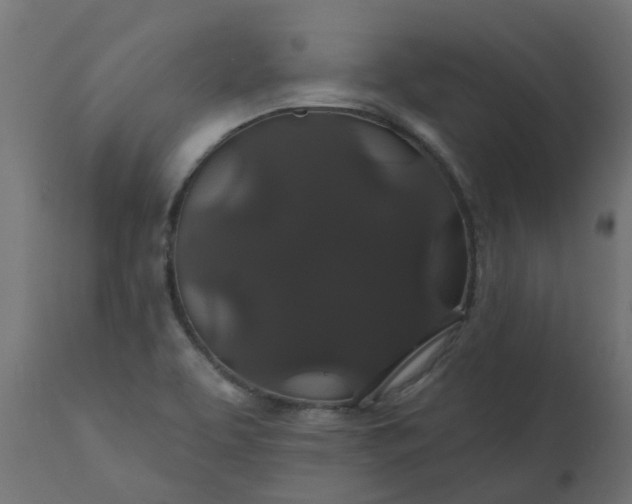 X0000110701463200906261356
