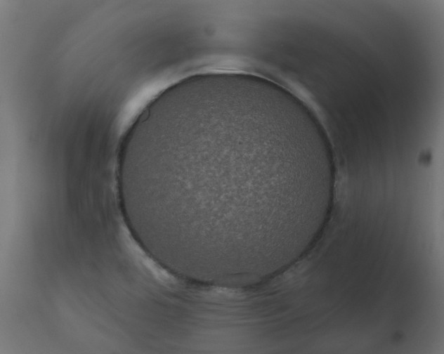 X0000110701464200906261356