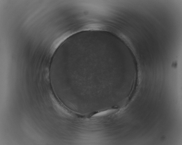 X0000110701465200906261356